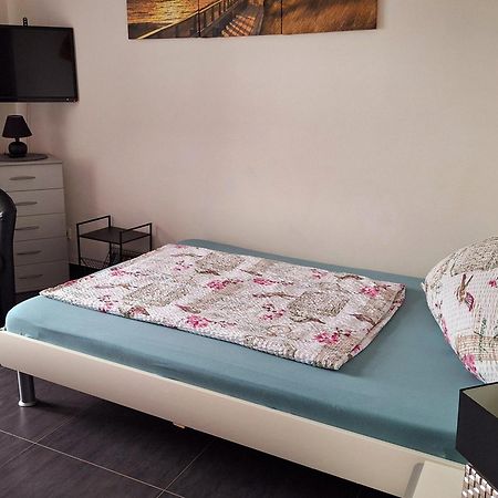 Rheinblick Apartment Weissenthurm Екстериор снимка