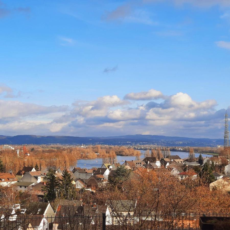 Rheinblick Apartment Weissenthurm Екстериор снимка